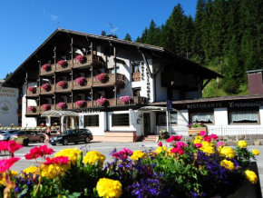  Hotel Orsingher  Сан-Мартино-Ди-Кастроцца